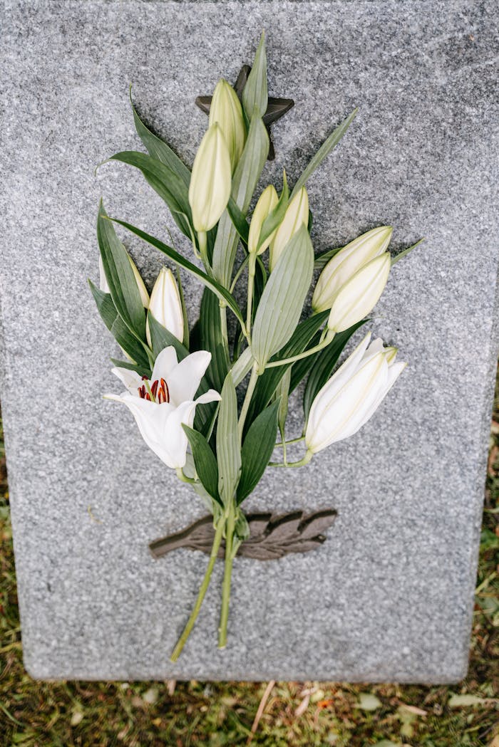 A serene arrangement of white lilies placed on a granite memorial stone, symbolizing peace and remembrance.